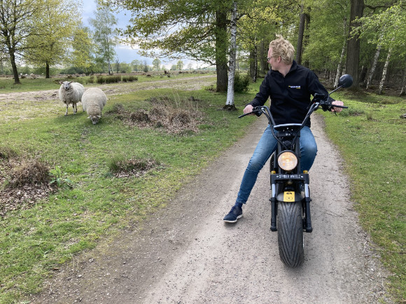 Natuurgebied Dwingelderveld